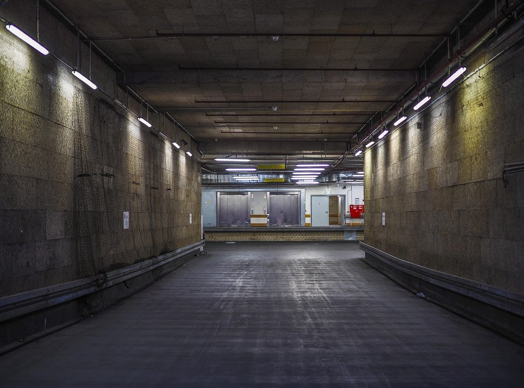 How to Organize Your Garage Livpristhouse