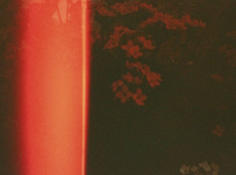 iggy azalea onlyfans leaked