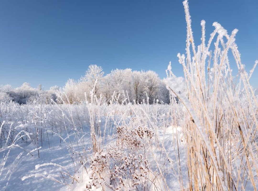 Landscaping Guide Kdalandscapetion