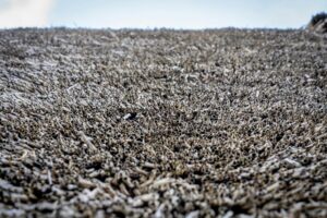 Sustainable Insulation