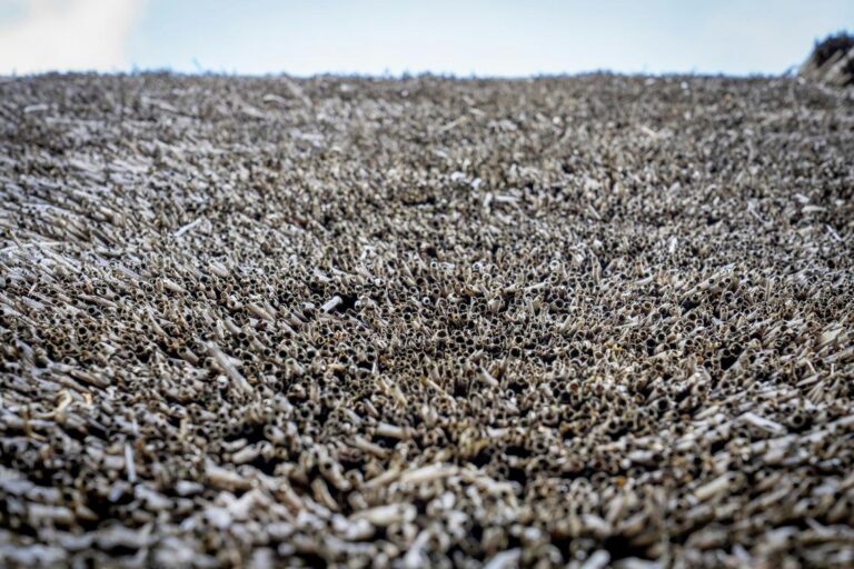 Sustainable Insulation