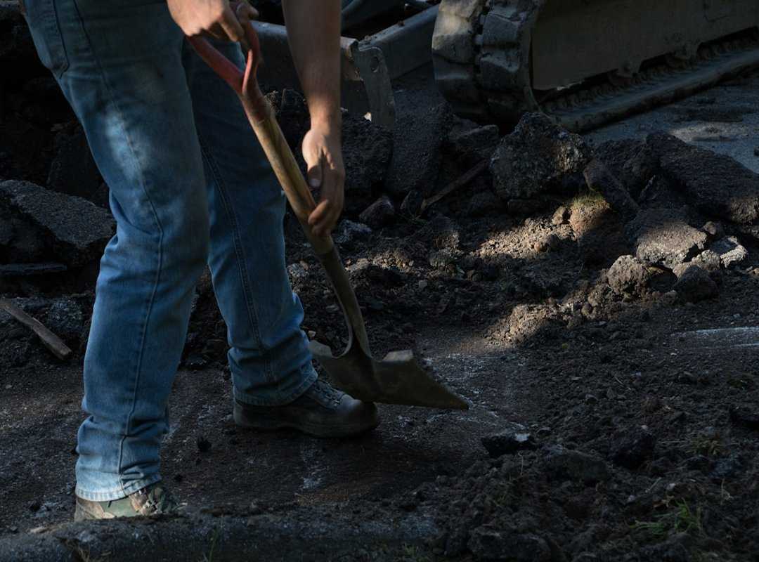 diy landscaping ideas