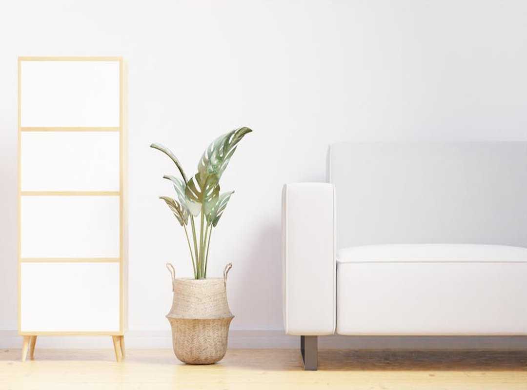 smart devices home